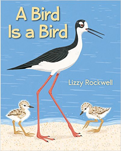 A Bird Is a Bird.jpg