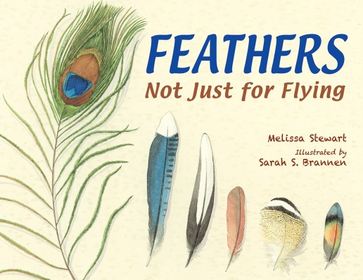 feathers-hires