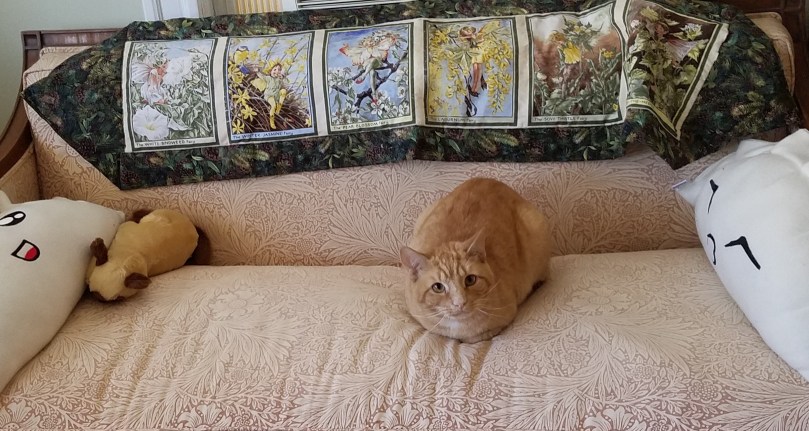 Telemachos on couch.jpg