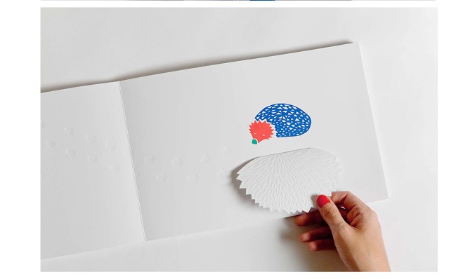 Stanotte hedgehog (2)