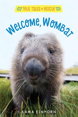 Welcome Wombat.jpg